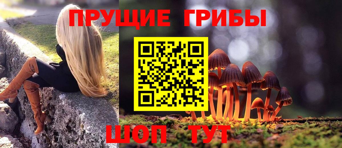 Псилоцибиновые грибы прущие грибы Шебекино