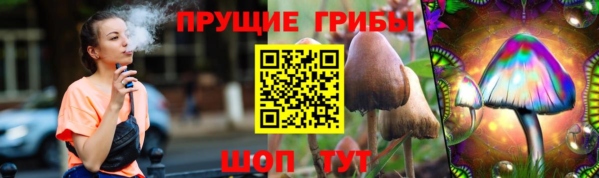 Шебекино  Галлюциногенные грибы Cubensis  Вход с VPN  Псилоцибиновые грибы MAGIC MUSHROOMS 